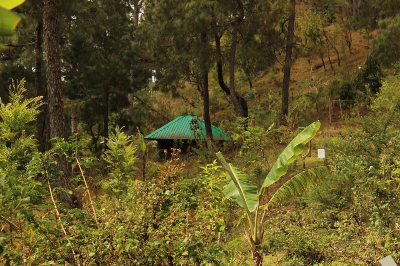 Heal Farm - Himalayan Eco Alternative Lifestyle For Agriculture Recreation And Meditation Nainital Zewnętrze zdjęcie